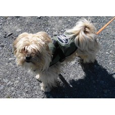 Dog Coat (Small)